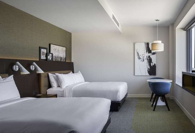 اتاق استاندارد, Hilton Garden Inn North Dallas Central Expy