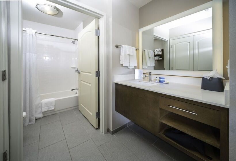 标准工作室, Staybridge Suites   Summerville, An Ihg