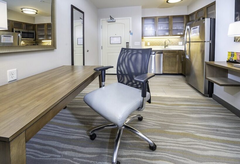 标准工作室, Staybridge Suites   Summerville, An Ihg