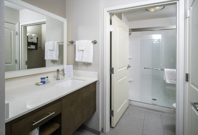 标准工作室, Staybridge Suites   Summerville, An Ihg