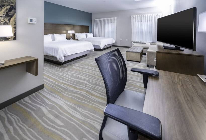 标准工作室, Staybridge Suites   Summerville, An Ihg