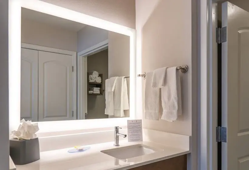 ２ベッドスイートルーム, Staybridge Suites   Summerville, An Ihg
