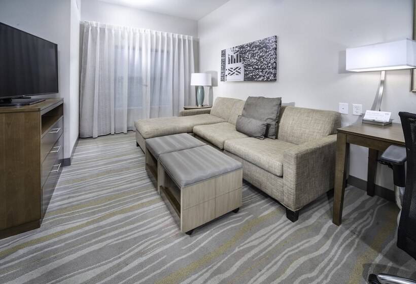 适合残疾人士使用的套间, Staybridge Suites   Summerville, An Ihg