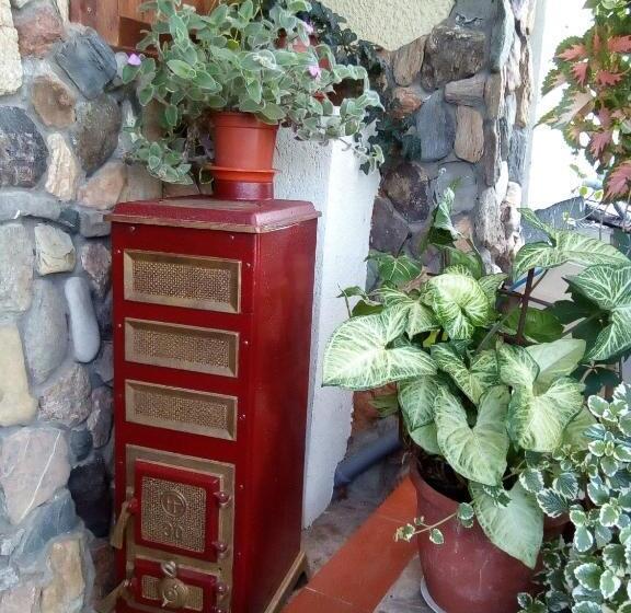 اتاق استاندارد, Malgo