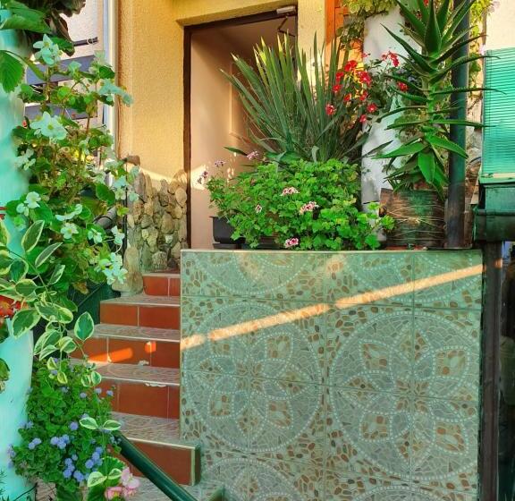 اتاق لوکس, Malgo