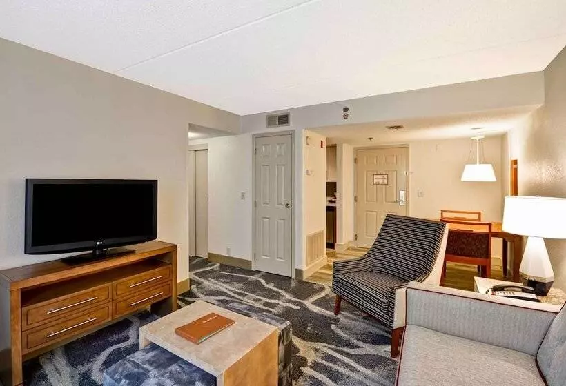 スイート, Homewood Suites By Hilton San Antonionorthwest