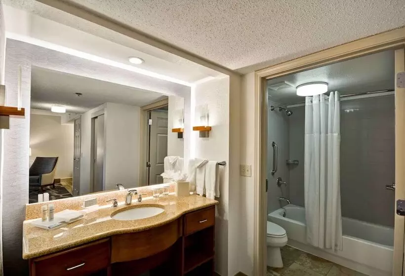 ２ベッドスイートルーム, Homewood Suites By Hilton San Antonionorthwest