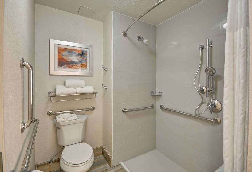 Люкс, Homewood Suites By Hilton San Antonionorthwest