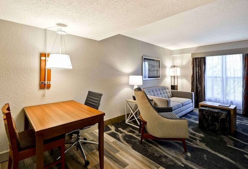 适合残疾人士使用的套间, Homewood Suites By Hilton San Antonionorthwest