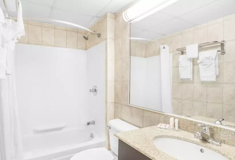 デラックスルーム, Howard Johnson By Wyndham Clifton Nj