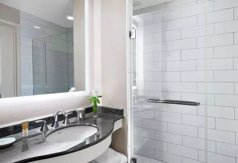 اتاق استاندارد با تخت دوبل, Hyatt Regency Valencia