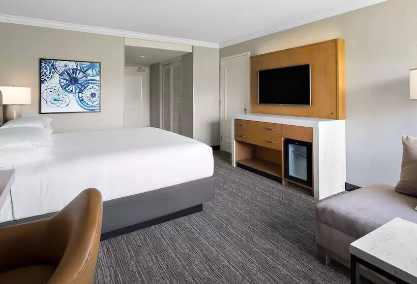 اتاق استاندارد با تخت دوبل, Hyatt Regency Valencia