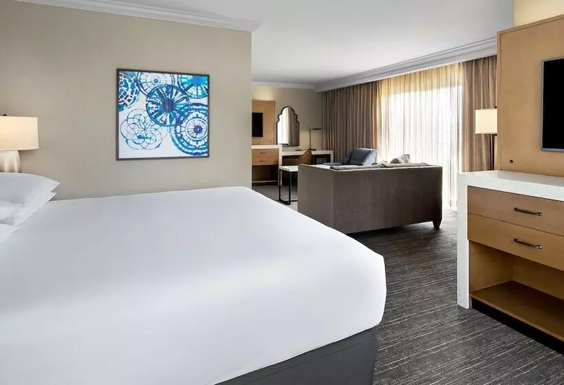 سوییت جونیور, Hyatt Regency Valencia