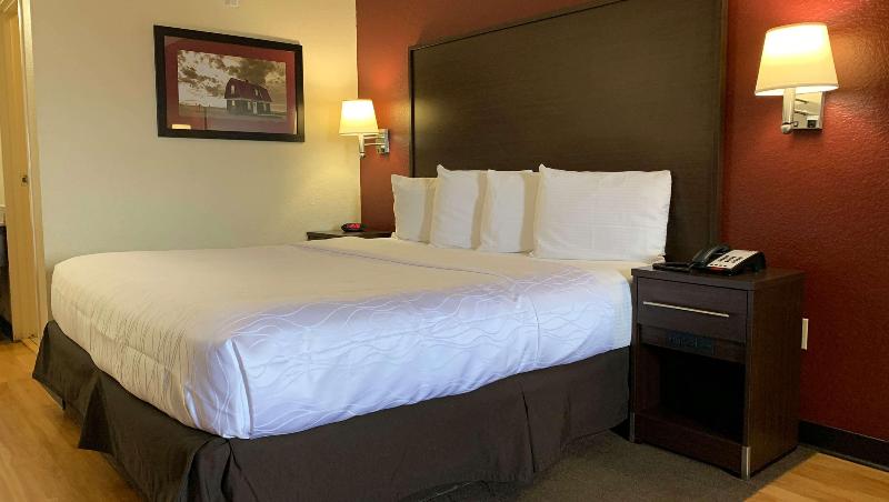 اتاق سوپریور, Quality Inn & Suites I 10 Near Fiesta Texas