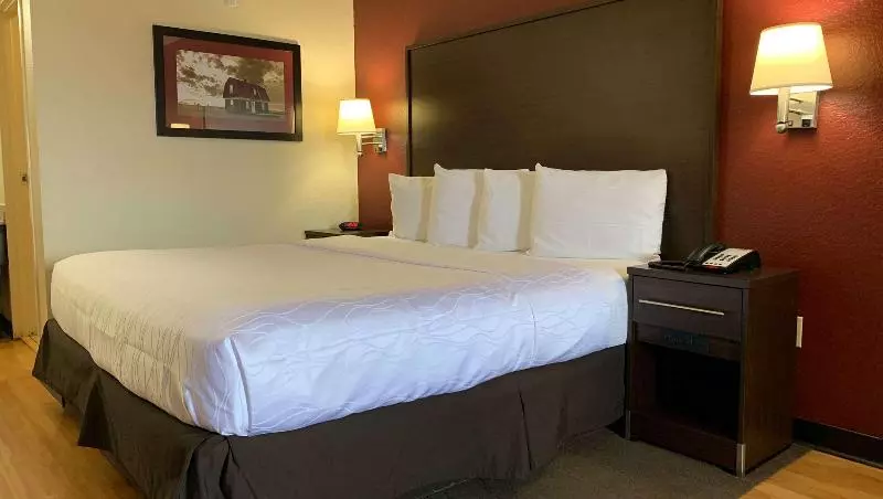 スーペリアールーム, Quality Inn & Suites I 10 Near Fiesta Texas