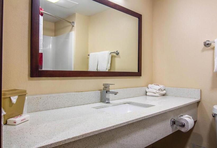 חדר סטנדרט עם מיטת קינג, Red Roof Inn Perrysburg