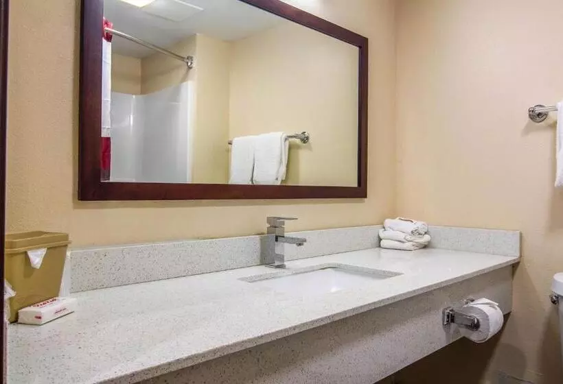 スタンダードルーム, Red Roof Inn Perrysburg