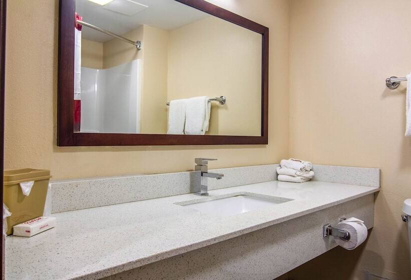 غرفة سوبيريور لذوى الاحتياجات الخاصة, Red Roof Inn Perrysburg