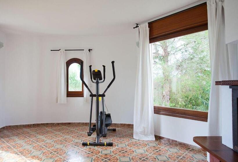 Апартаменты Deluxe 1 Спальня, Apartamentos Cala Murada Tennis