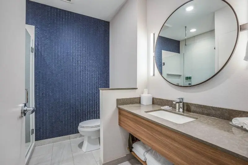 キングサイズベッドのスイートルーム, Fairfield Inn & Suites Whitewater