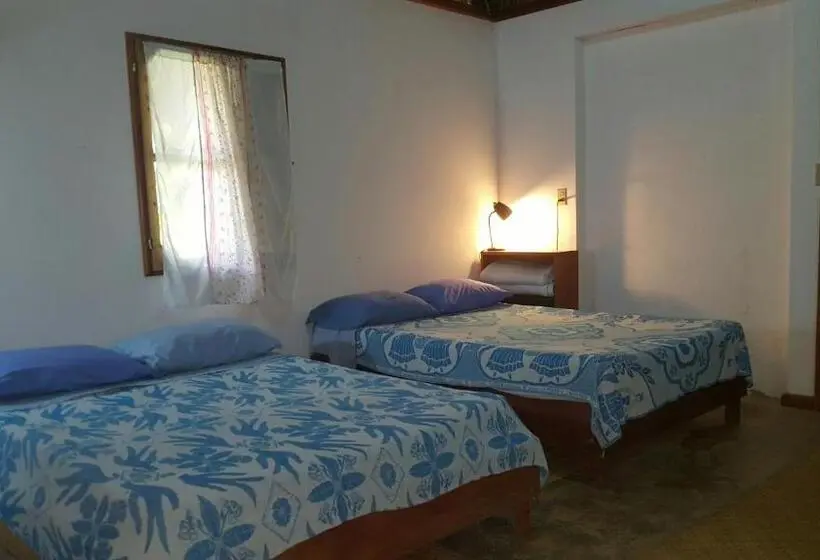 بنگله خانوادگی, Clarissa Falls Resort