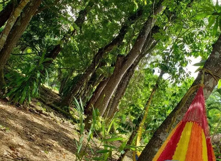 بانگلوی استاندارد, Clarissa Falls Resort