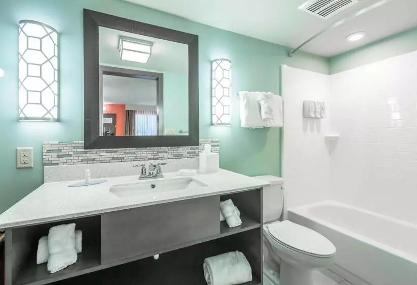 اتاق استاندارد برای معلولان, Best Western Plus St. Simons