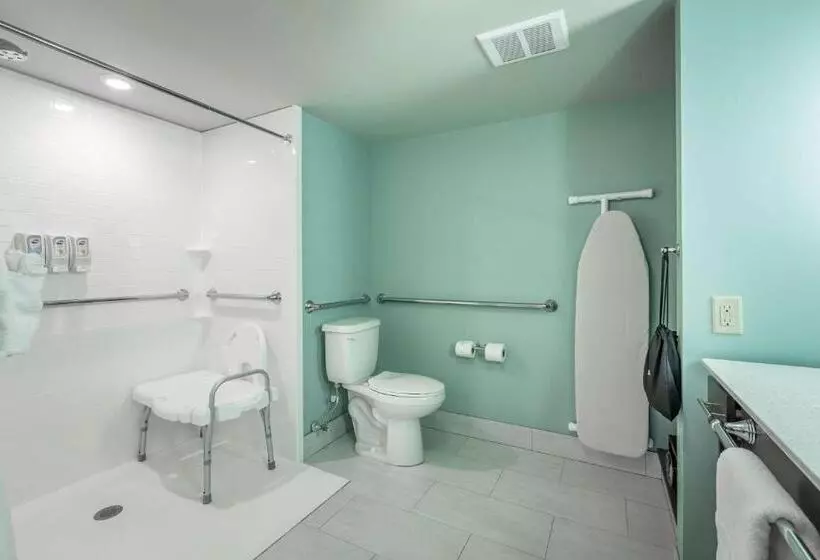 اتاق استاندارد برای معلولان, Best Western Plus St. Simons