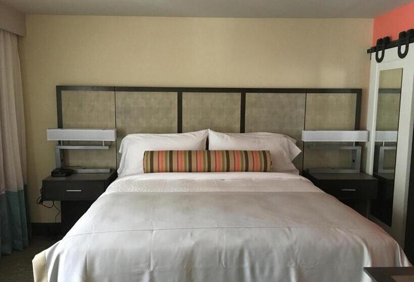 标准间带游泳池, Best Western Plus St. Simons