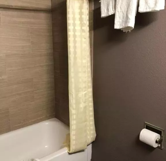デラックスルーム, Economy Inn North Randall