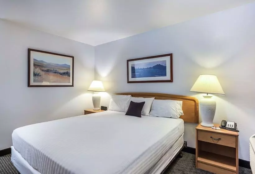 スイート, Knights Inn Yuma