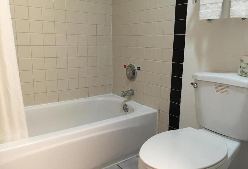 스탠다드 룸 킹사이즈 침대, Regency Inn At San Francisco Airport