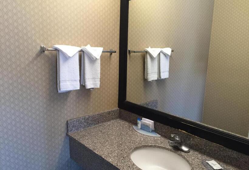 Номер Deluxe Кровать Кинг, Regency Inn At San Francisco Airport