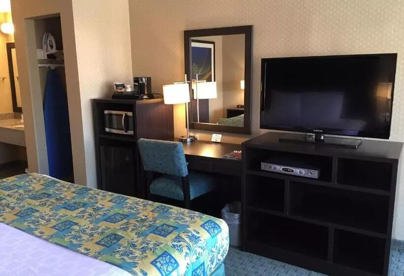 اتاق لوکس با تخت بزرگ, Regency Inn At San Francisco Airport