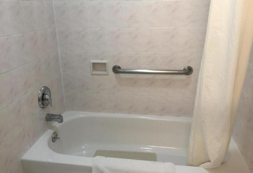 Номер Deluxe, Regency Inn At San Francisco Airport