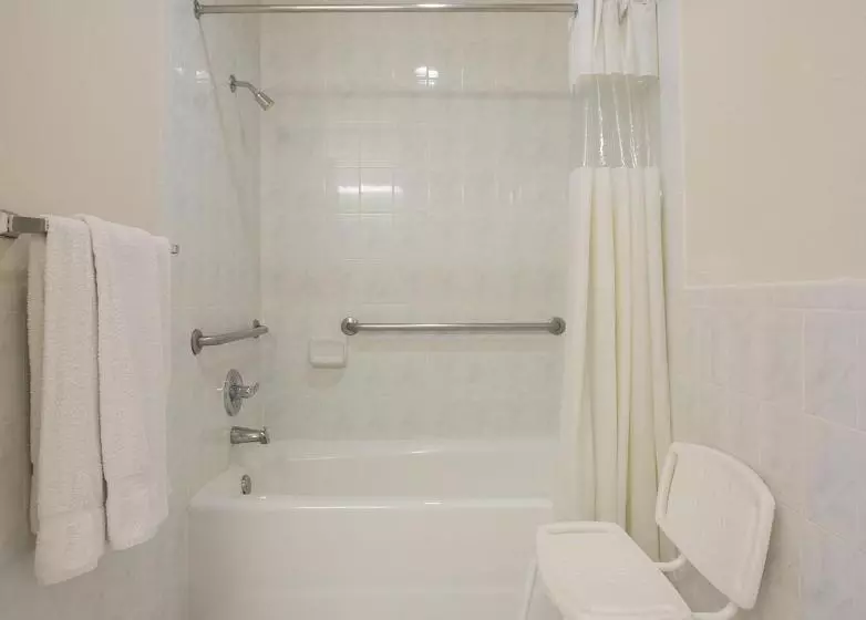 اتاق استاندارد برای معلولان, Regency Inn At San Francisco Airport