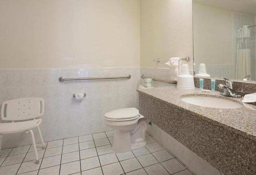 Номер Стандарт Кровать Кинг Адаптированный для Инвалидов, Regency Inn At San Francisco Airport