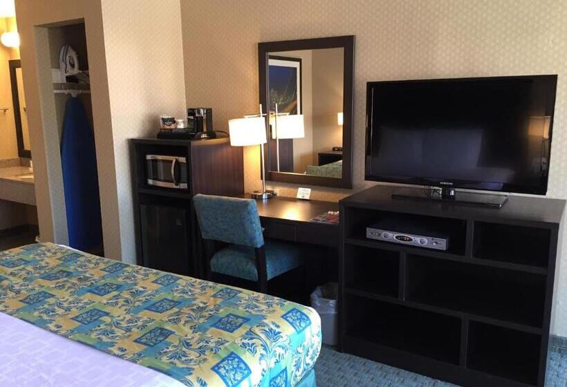 Номер Стандарт Кровать Кинг Адаптированный для Инвалидов, Regency Inn At San Francisco Airport