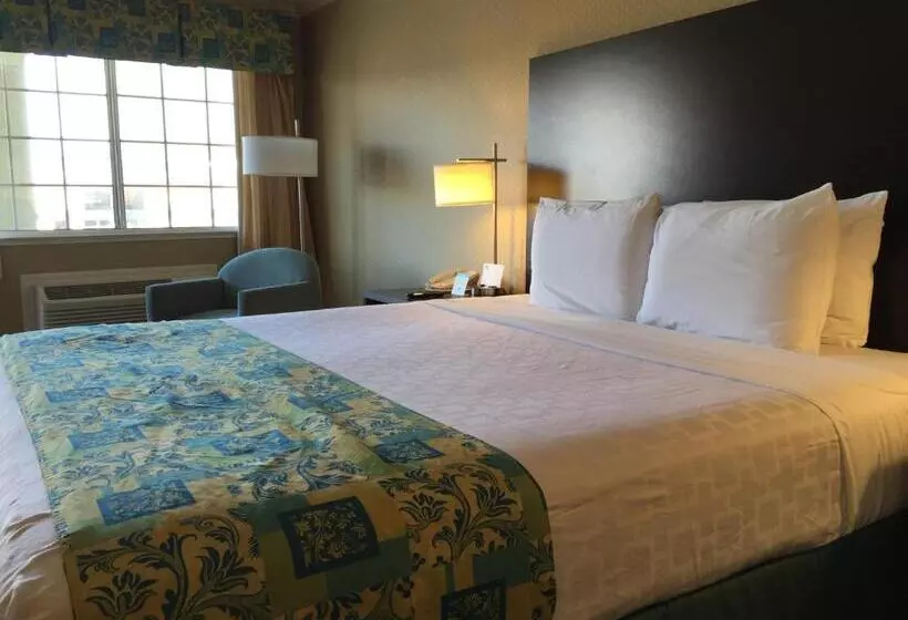 اتاق استاندارد با تخت بزرگ برای معلولان, Regency Inn At San Francisco Airport