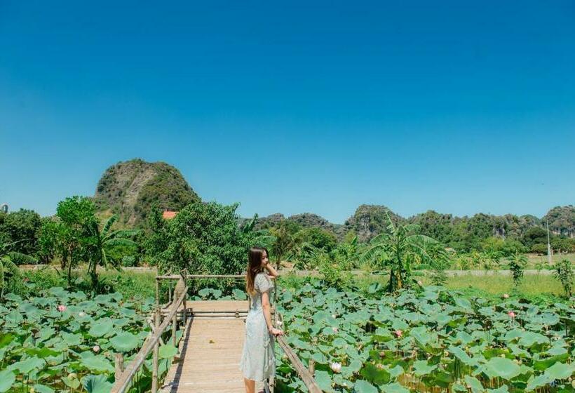 Deluxe Room Mountain View, Nan House Tam Coc