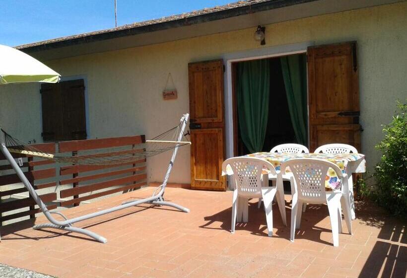 带2个卧室的公寓, Poggio Dei Michelazzi