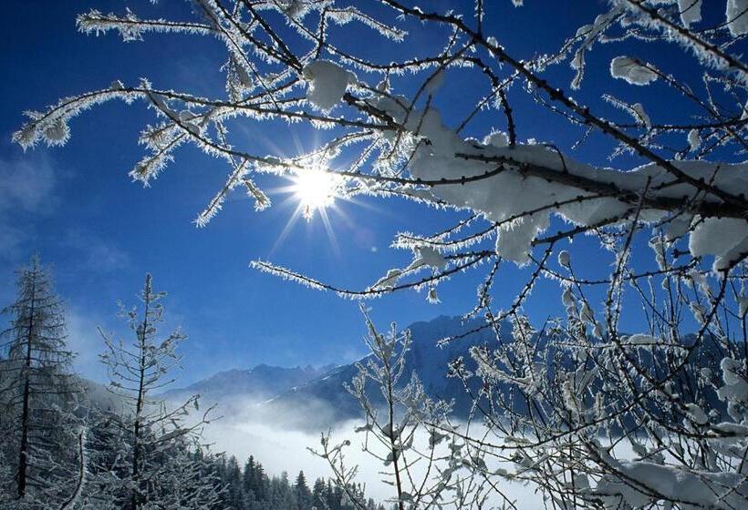 シングルデラックスルーム, Bergnest Die Frühstückspension