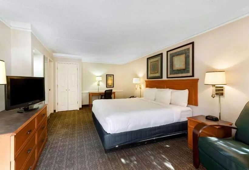 キングサイズベッドのスタンダードルーム, La Quinta Inn By Wyndham Bossier City