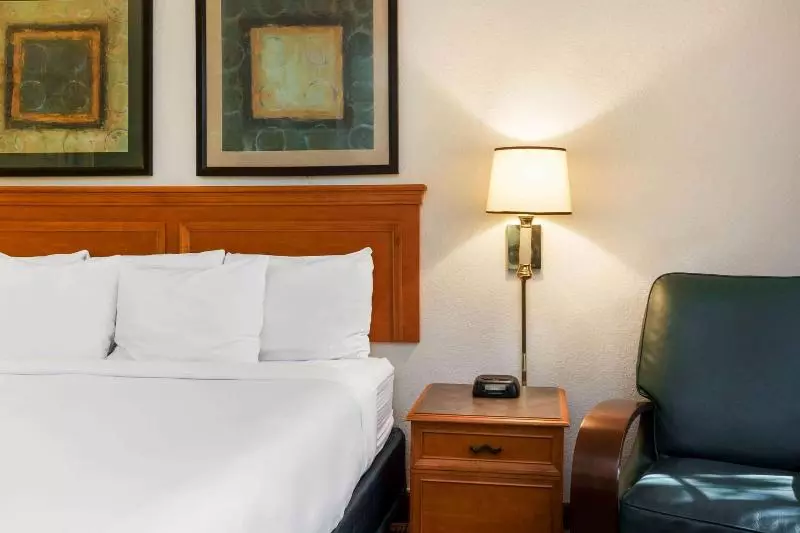 キングサイズベッドのスタンダードルーム, La Quinta Inn By Wyndham Bossier City