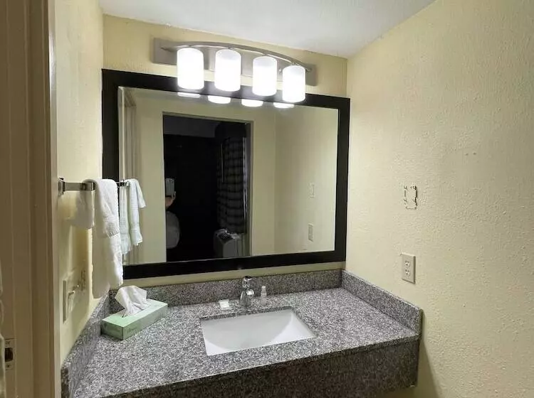デラックスルーム, La Quinta Inn By Wyndham Indianapolis Airport Lynhurst