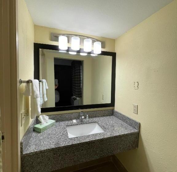 غرفة قياسية سرير كينج, La Quinta Inn By Wyndham Indianapolis Airport Lynhurst