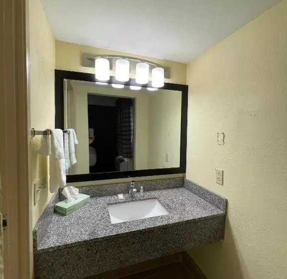 キングサイズベッドのデラックスルーム, La Quinta Inn By Wyndham Indianapolis Airport Lynhurst