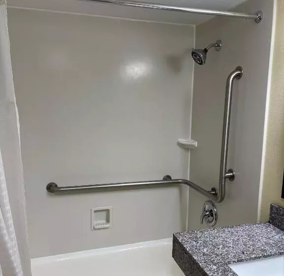 身障者適用キングサイズベッドルーム, La Quinta Inn By Wyndham Indianapolis Airport Lynhurst