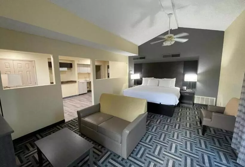 キングサイズベッドのスイートルーム, La Quinta Inn By Wyndham Indianapolis Airport Lynhurst