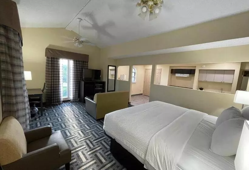 キングサイズベッドのスイートルーム, La Quinta Inn By Wyndham Indianapolis Airport Lynhurst